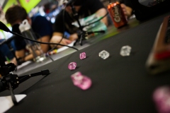 botch-tour-2020-emerald-dragon-games-36
